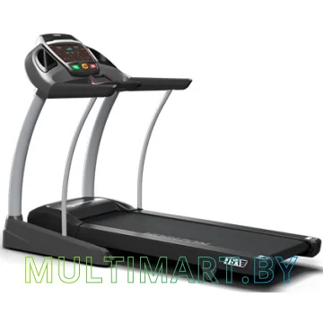 Электрическая беговая дорожка Horizon Fitness Elite T5.1